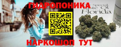 прущий лед Боровичи