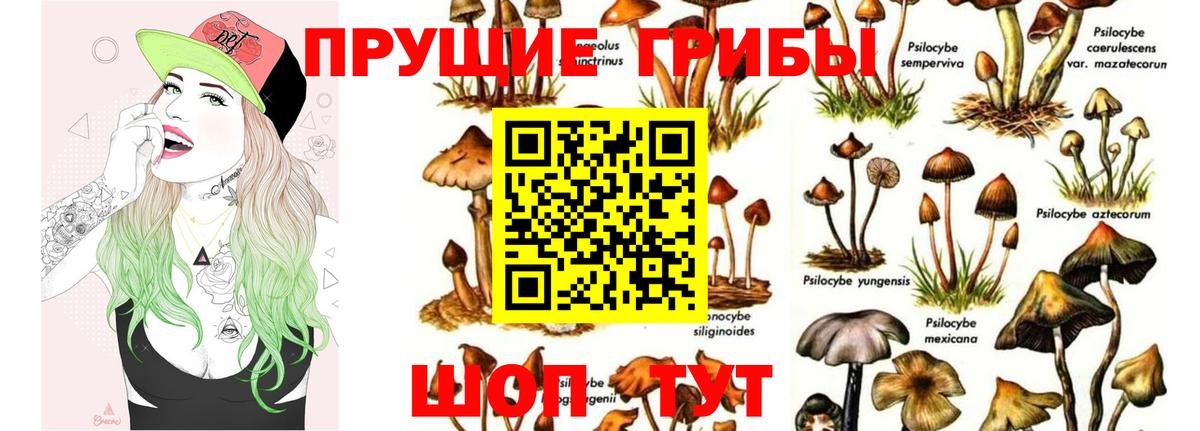 Псилоцибиновые грибы Magic Shrooms Сафоново
